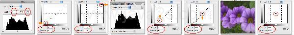 Photoshop Image Curve Tutorial Photoshop Image Curve Tutorial