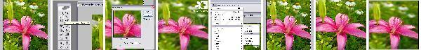 Photoshop Background Defocus Tutorial Photoshop Background Defocus Tutorial