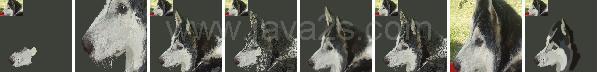 Photoshop Portrait Draw Tutorial Photoshop Portrait Draw Tutorial