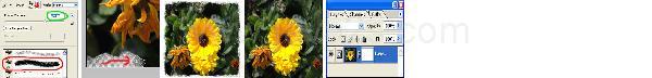 Photoshop Photo Border Tutorial Photoshop Photo Border Tutorial
