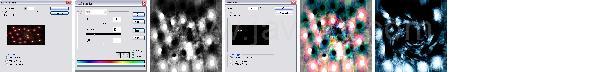 Photoshop Design Flare Tutorial Photoshop Design Flare Tutorial