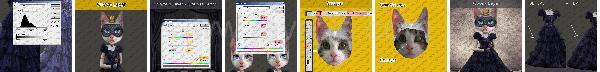 Photoshop Animal Cat Tutorial Photoshop Animal Cat Tutorial