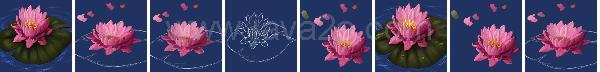 Photoshop Nature Water Tutorial Photoshop Nature Water Tutorial