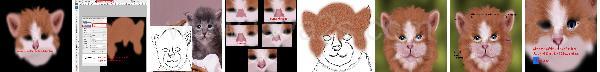 Photoshop Animal Cat Tutorial Photoshop Animal Cat Tutorial