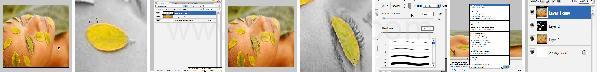 Photoshop Action Emphasize Tutorial Photoshop Action Emphasize Tutorial
