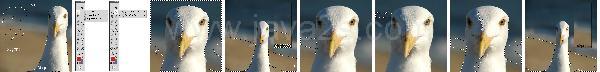 Photoshop Effect Magic Tutorial Photoshop Effect Magic Tutorial