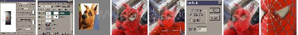 Photoshop Animal Spider Tutorial Photoshop Animal Spider Tutorial